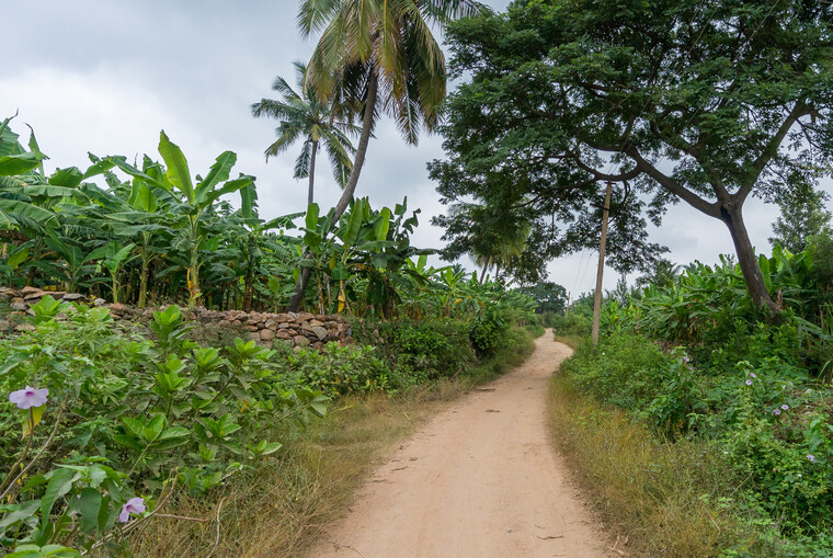 India 2014 - Hampi 101.jpg